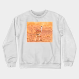 lazy bird riding ostrich Crewneck Sweatshirt